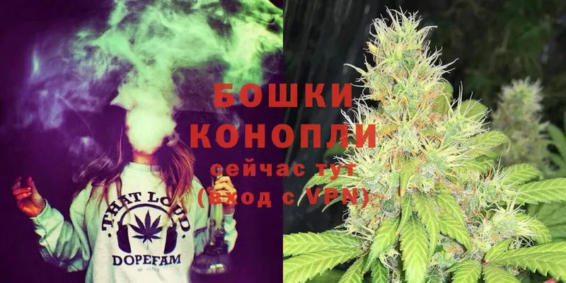 Конопля White Widow  купить закладку  Анадырь 